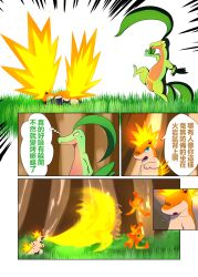 absurd_res angry animal_genitalia balls chinese_text comic darrow0 fire forest genitals grovyle hi_res male nintendo penis plant pokémon_(species) pokemon pokemon_(species) quilava seedot speech_bubble text tree video_games yuel_(darrow)