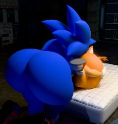 3d_(artwork) anal anthro big_butt bottom_heavy butt butt_grab canid canine digital_media_(artwork) duo eulipotyphlan european_hedgehog femboy fox hand_on_butt hedgehog hi_res huge_butt hyper hyper_butt kirby_animatez kneeling male male/male male_rimming_male mammal mattress miles_prower oral pear-shaped_figure red_fox rimming sega sex sleep_sex sleeping sonic_the_hedgehog sonic_the_hedgehog_(series) thick_thighs true_fox wide_hips workshop