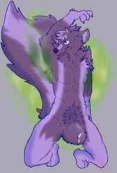 absurd_res anthro armpit_sniffing bodily_fluids bulge canid canine canis fart fart_cloud fart_fetish fart_sniffing genital_fluids genitals hi_res humanoid hybrid male mammal mephitid musk musky_armpit musky_penis nicoysita precum purple_body skunk smell smelly sniffing solo stink_cloud sweat sweatdrop sweaty_genitalia wolf