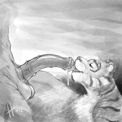 1:1 2022 animal_genitalia animal_penis anthro anthro_on_anthro balls bodily_fluids cum cum_string dated duo equid equine equine_genitalia equine_penis eyes_closed facial_markings fangs felid fur genital_fluids genitals half-erect head_markings hufnaar licking male male/male mammal markings medial_ring monochrome nude open_mouth oral pantherine penile penis penis_lick sex side_view simple_background striped_body striped_face striped_fur striped_shoulder stripes teeth tiger tongue tongue_out vein veiny_penis