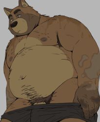 2022 anthro belly big_belly bodily_fluids brown_body canid canine clothing genitals hi_res humanoid_hands kemono leoponleopon male mammal moobs nipples overweight overweight_male penis pubes raccoon_dog simple_background solo sweat tanuki undressing