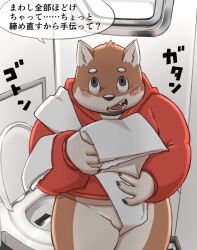 2022 anthro asian_clothing balls bathroom blush canid canine canis clothing detailed_background domestic_dog east_asian_clothing genitals hoodie humanoid_hands inside japanese_clothing japanese_text kemono male mammal mawashi meg_hoi overweight overweight_male solo text toilet topwear young