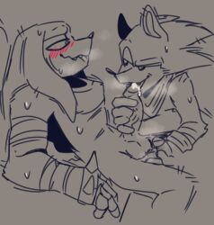 anthro balls blush bodily_fluids duo foreskin genital_fluids genitals handjob kiniax knuckles_the_echidna male male/male male_only oral penile penis precum sega sex sonic_(series) sonic_boom sonic_the_hedgehog sonic_the_hedgehog_(series) sonknux steam sweat