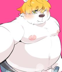 0119_muu 2022 anthro belly big_belly blush clothing genitals hi_res humanoid_hands kemono male male_only mammal moobs nipples overweight overweight_male penis pink_background polar_bear simple_background solo underwear ursid ursine