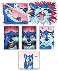 2022 4_fingers absurd_res anthro balls biped blue_body blue_fur bodily_fluids canid canine canis comic cum cum_in_eye cum_on_face cum_on_own_face cum_on_self cumshot ejaculation erection exclamation_point fingers fur genital_fluids genitals heart hi_res humanoid_genitalia humanoid_penis humor licking_cum male mammal masturbation nikraccoom orgasm penile penile_masturbation penis solo tongue tongue_out wolf