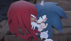 anal anal_sex furry gay knuckles_the_echidna legs_held_open male_only male_penetrated outside penis rain sex sonic_(series) sonic_the_hedgehog sonic_the_hedgehog_(series) sonknux