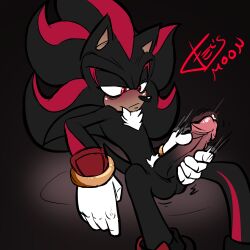 shadow the hedgehog from sega by felis moon