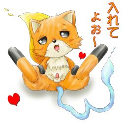 anthro black_eyes firefox flame_tail fox furry heart japanese_text open_mouth orange_fur ryuconboy small_penis vulpine whiskers