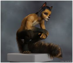 3d ambiguous_gender anthro balls biceps black_claws black_eyebrows black_hair brown_body brown_fur canid canine claws crouching dark_brown_fur digital_media_(artwork) eyebrows fluffy fluffy_tail fur geir genitals hair long_hair looking_at_viewer mammal multicolored_body multicolored_fur multicolored_hair muscular muscular_male original original_character pillar pink_body pink_skin purple_eyes saggy_balls simple_background solo tan_body tan_fur text url