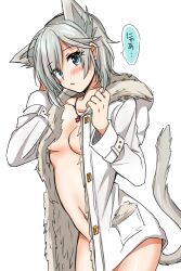 anastasia_(idolmaster) blue_eyes blush breasts cleavage coat collarbone eyebrows_visible_through_hair eyelashes_visible_through_hair female female_only hair_between_eyes idolmaster idolmaster_cinderella_girls jewelry naked_coat necklace no_bra no_panties short_hair silver_hair simple_background tail tsukudani_norio white_background