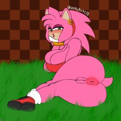 amy_rose big_ass big_breasts blush blush sega sonic_(series) sonic_the_hedgehog_(series) thick_thighs zokuarts