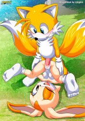 cream the rabbit from sega by bbmbbf