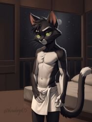 1boy ai_edit ai_generated domestic_cat furry kentory05 lackadaisy male male_only mordecai_heller semi_nude solo