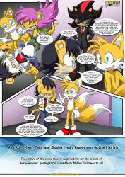 a_stiff_deal_(comic) ash_mongoose bbmbbf comic comic_page female male mina_mongoose mobius_unleashed palcomix sega shadow_the_hedgehog sonic_(series) sonic_the_hedgehog_(series) tails