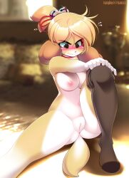 /\\/\\/\\ adorable angry animal_crossing anthro blonde_hair blush breasts canid canine canis clothing cute cute_face dog_girl female fur furry furry_only green_eyes hi_res isabelle_(animal_crossing) leggings nintendo nipples nude pussy sharp_teeth solo source_request tail thighhighs tsampikos year_request