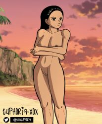 beach black_hair crossed_arms dark-skinned_female euphoria-xox female female_only looking_away naked nico_robin one_piece public public_nudity standing sunset