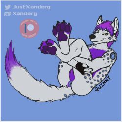 anthro anus canid canine feet foot_focus fox fur hair hindpaw hugging_legs hyaenid hybrid inner_ear_fluff long_tail looking_at_viewer lying male male_only mammal on_back orange_eyes pawpads paws perineum presenting presenting_anus purple_hair purple_pawpads purple_paws quinny solo spots spotted_body spotted_fur spotted_hyena tuft xanderg_(artist)