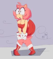 accidental_exposure amy_rose big_breasts boots breeze draft dress dress_lift eddy_spugeddy footwear panties pink_fur sonic_(series) sonic_the_hedgehog_(series) thick_thighs upskirt wardrobe_malfunction