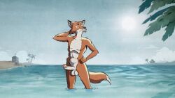 anthro balls beach canid canine crayzee609 detailed_background edit edited_screencap erection foreskin fox fur genitals hand_on_hip henry_(old_speckled_hen) male male_focus male_only male_solo mammal muscular muscular_male old_speckled_hen orange_body orange_fur penis seaside solo solo_male