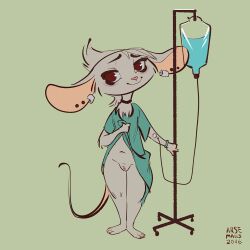 2016 anthro arsemaus big_ears clothed clothing clothing_lift ear_piercing female full-length_portrait fur genitals green_background grey_body grey_fur hi_res hospital_gown ill_jill intravenous intravenous_drip looking_at_viewer mammal mouse murid murine partially_clothed piercing portrait presenting presenting_pussy pussy rodent simple_background smile solo standing