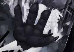 4_toes anthro black_tongue crush feet first_person_view foot_focus genitals macro male micro paws penis sergal soles solo solutionwcs toes tongue tongue_out white_body