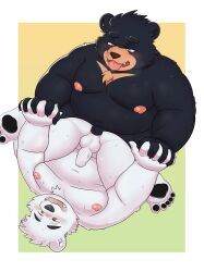 2022 absurd_res anal anal_sex anthro ass balls belly big_belly black_body duo erection genitals hand_holding hi_res kemono male male/male mammal moobs navel nipples overweight overweight_male penetration penis polar_bear sangguri_32 sex tongue tongue_out ursid ursine white_body