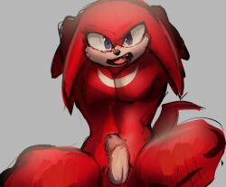 anthro echidna erection fur genitals hands_behind_head hi_res humanoid_genitalia humanoid_penis knuckles_the_echidna male male_only mammal monotreme muscular muscular_male pecs penis purple_eyes red_body red_fur royer27_xd sega simple_background solo sonic_(series) sonic_the_hedgehog_(series)