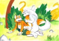 anthro buggery color day fox fox_mccloud fur furry furry_only gay loopy male male_only multiple_males no_humans nude outdoors sex star_fox tagme yaoi