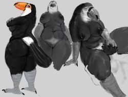 anthro ass avian beak big_breasts big_butt bird breasts cunnilingus doctordj duo feathers female female_on_human genitals hi_res human human_on_anthro interspecies male male/female male_on_anthro mammal nude oral overweight overweight_anthro overweight_female pussy scuted_arms scutes sex sitting solo tail tail_feathers thick_thighs toucan vaginal_penetration