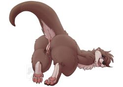 absurd_res anthro anus ass bodily_fluids brown_body brown_fur feet female fur genital_fluids genitals hi_res mammal masturbation maya_(zenrii) membrane_(anatomy) mustelid otter pawpads paws pussy solo toes vaginal_fluids webbed_feet webbed_hands zenrii