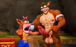 3d 3d_(artwork) abs anthro anthro_only bandicoot crash_(series) crash_bandicoot crunch_bandicoot dr.ivopingasnik erect_nipples erect_penis erection gay humanoid humanoid_genitalia humanoid_penis male male/male male_nipples male_only muscular muscular_anthro muscular_male nipples pecs pectorals penis penis_out sfm shocked shocked_expression source_filmmaker tnt tnt_crate veiny veiny_penis