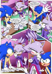 blaze the cat from sega by bbmbbf