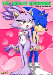 blaze the cat from sega by bbmbbf