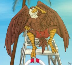 2022 accipitrid accipitriform anthro avian bald_eagle beach beak bird bottomwear brown_body bulge clothing detailed_background digital_media_(artwork) eagle eyewear feathers glasses hi_res lifeguard looking_at_viewer male mono-fur muscular muscular_male nipples outside palm_tree plant sea_eagle seaside shorts solo spread_legs spreading sunglasses swimming_trunks swimwear tree white_body white_feathers wings yellow_beak