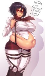 1girls asian asian_female attack_on_titan bbw belly belly_overhang big_belly big_breasts black_hair breasts chubby chubby_female fat fat_fetish fat_girl fat_rolls fat_woman fatty female female_only kipteitei large_belly large_breasts midriff mikasa_ackerman nipple_bulge obese obese_female overweight pork_chop solo solo_female tubby weight_gain