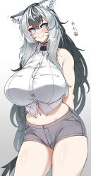 absurdres animal_ears bangs black_hair breasts closed_mouth collared_shirt cropped_shirt dog_ears dog_girl dog_tail eyebrows eyebrows_visible_through_hair female grey_hair grey_shorts hair_between_eyes highres huge_breasts husky husky_girl_(konoshige) konoshige_(ryuun) light_blue_eyes long_hair looking_at_viewer midriff multicolored_hair navel original ryuun_(stiil) shirt short_shorts shorts sleeveless sleeveless_shirt smile solo tail very_long_hair white_shirt