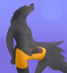 anthro balls bottomwear bottomwear_down bottomwear_pull canid canid_humanoid canine canine_humanoid canis clothed clothing clothing_pull erection genitals hi_res howl male mammal nipples pants pants_down pants_pull partially_clothed penis pubbi shaded simple_background simple_shading solo were werecanid werecanine werewolf wolf wolf_humanoid