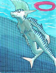 1girls anthro athletic breasts female fin fish genitals marine nipples nude nyghtmar3 pool_(disambiguation) pussy roxy shark solo swimming tail traditionalart underwater water