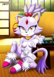 blaze the cat from sega by bbmbbf