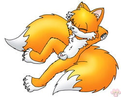 anthro canine fox fur male male_only mammal nude penis solo sonic_(series) tagme tail tails twotails