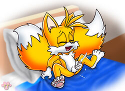 anthro canine fox fur handjob male male_only mammal masturbation nude penis solo sonic_(series) tagme tail tails twotails