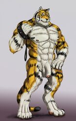 2013 abs anthro azaghal balls biceps big_muscles canine claws collar feline flaccid fur looking_at_viewer male male_only markings muscles nipples nude pecs penis pose rwolf smile solo standing tiger white_fur