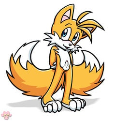 anthro balls blush canine fox fur furry_tail male male_only multi_tail nude penis solo sonic_(series) standing tagme tail tails twotails