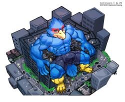 avian bird boxer_briefs building bulge city clothing destruction detailed_bulge falco_lombardi hi_res high-angle_view macro male muscular muscular_male nintendo sitting solo star_fox underwear video_games wolfmalro worship