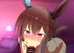 absurdres admire_vega_(umamusume) animal_ears bar_censor blurry blurry_background blush censored commentary_request fellatio female hair_between_eyes hair_ornament hidden_meo highres horse_ears horse_tail looking_at_viewer oral penis ponytail pov solo tail umamusume