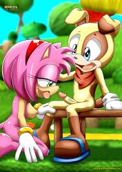 amy_rose balls bbmbbf ben_muttski breasts female male male/female mobius_unleashed nude open_mouth palcomix penis sega sex sonic_(series) sonic_the_hedgehog_(series) tongue tongue_out