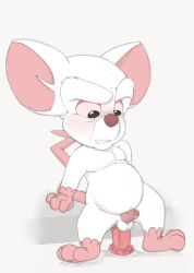 animaniacs anthro blush dildo furry grimace male male_only mouse neenya no_humans pinky_and_the_brain the_brain white_fur