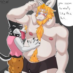 2boys anthro armpit_fetish armpit_hair asgore_dreemurr beard blonde_hair blush bodily_fluids body_hair boss_monster bovid canid canine canis caprine charlieleobo clothed clothing digital_media_(artwork) doggo_(undertale) domestic_dog dripping duo erection facial_hair fur gay genital_fluids genitals hair hi_res horn long_ears male male/male male_only mammal mature_anthro mature_male musk nipples penis precum precum_drip simple_background sniffing text undertale undertale_(series) underwear video_games