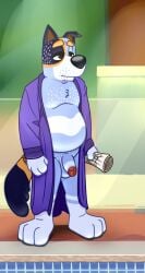 1boy anthro belly blue_fur bluey_(series) canine dadbod facial_hair flaccid furry humanoid_genitalia humanoid_penis looking_tired male_only neenya newspaper robe robe_only solo solo_male standing stripe_(bluey) stripe_heeler stubble