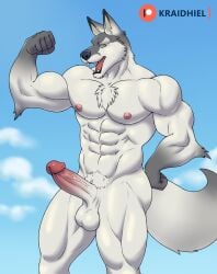 anthro canid canine flexing fox genitals hi_res kraidhiel male mammal muscular nude penis solo